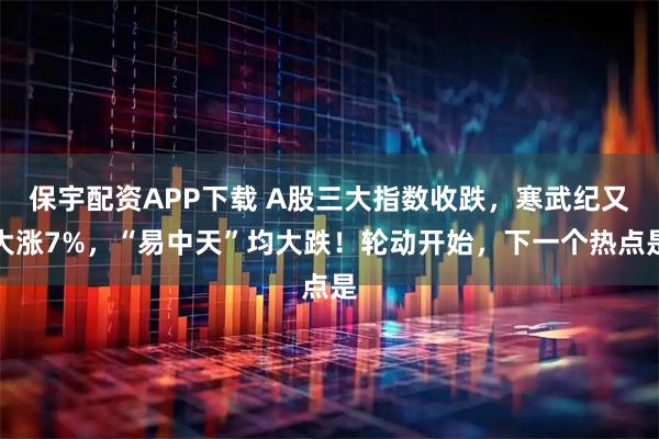 保宇配资APP下载 A股三大指数收跌，寒武纪又大涨7%，“易中天”均大跌！轮动开始，下一个热点是