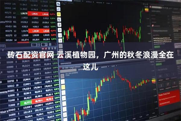 砖石配资官网 云溪植物园，广州的秋冬浪漫全在这儿