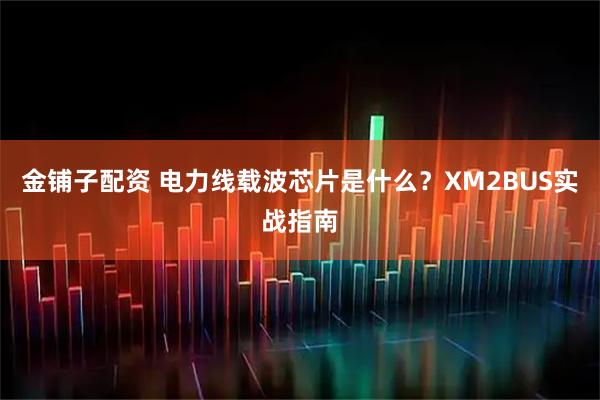 金铺子配资 电力线载波芯片是什么？XM2BUS实战指南