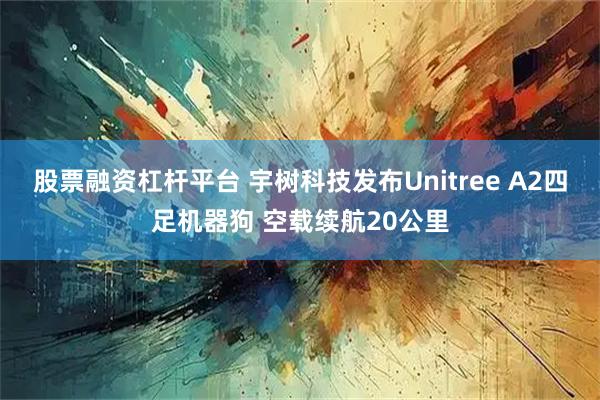股票融资杠杆平台 宇树科技发布Unitree A2四足机器狗 空载续航20公里